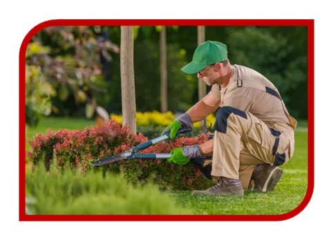 Criação de Sites Barato para Jardineiro