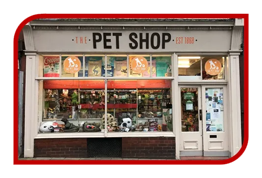 Criação de Sites Barato para Petshop